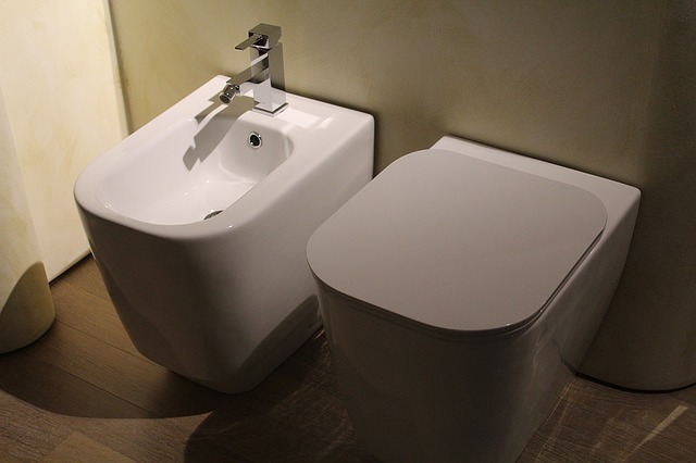 bidet a wc