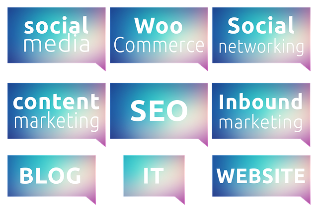 specializace seo